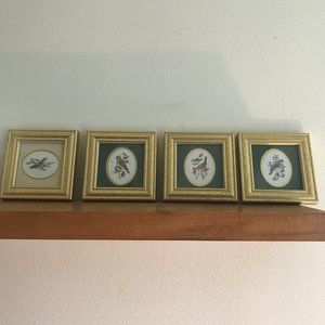 Set of 4 Vintage Gold Framed Feathered Friends Prints